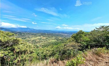 VENDO UNA HECTAREA CON VISTA 360