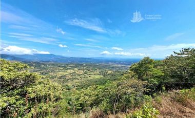 VENDO UNA HECTAREA CON VISTA 360