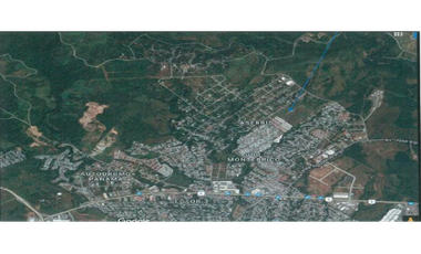 TERRENO de 1.6 HAS EN EL VALLE DE CERRO AZUL