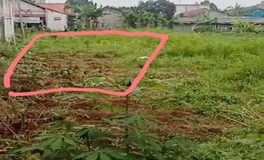 Tanah Dijual Dekat SMA Negeri 1 Ciampea Bogor, IPB Dramaga