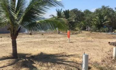 VENTA DE TERRENO EN CANOA (GV)