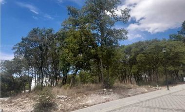 Lotes En Venta En  Harás del Bosque Clúster Santa Teresa