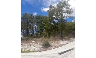 Lotes En Venta En  Harás del Bosque Clúster Santa Teresa