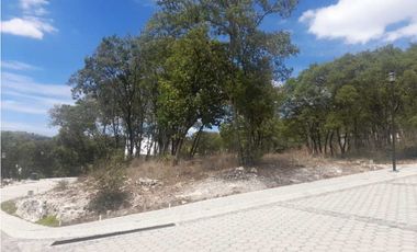 Lotes En Venta En  Harás del Bosque Clúster Santa Teresa