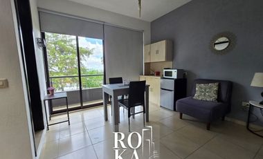 Departamento en renta en Xalapa zona Araucarias