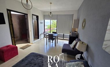 Departamento en renta en Xalapa zona Araucarias