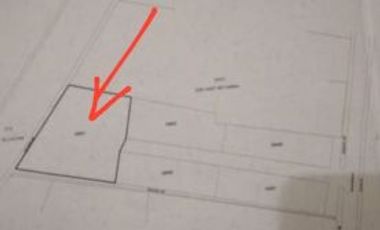 DIJUAL CEPAT TANAH TEPI JALAN 600 METER UNIV. ISLAM BLITAR