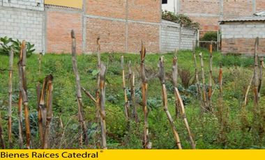 Terreno de venta en Paseo 3 de Noviembre – código:12661