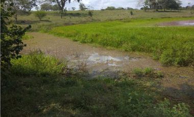 VENTA DE FINCA EN SAN ANTERITO, MONTERIA