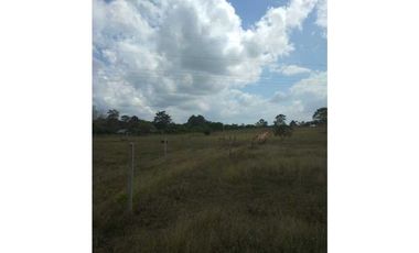 VENTA DE FINCA EN SAN ANTERITO, MONTERIA