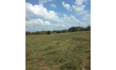 VENTA DE FINCA EN SAN ANTERITO, MONTERIA