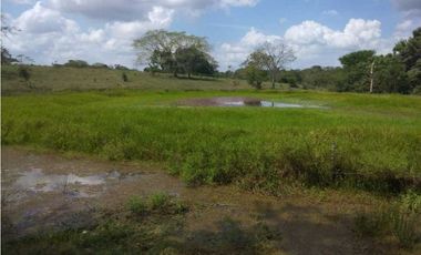 VENTA DE FINCA EN SAN ANTERITO, MONTERIA