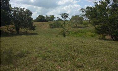 VENTA DE FINCA EN SAN ANTERITO, MONTERIA