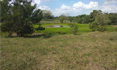 VENTA DE FINCA EN SAN ANTERITO, MONTERIA