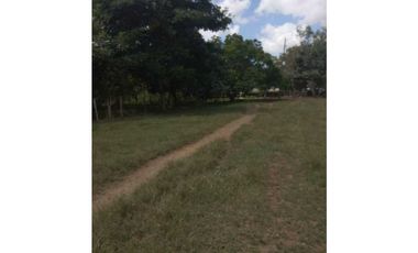 VENTA DE FINCA EN SAN ANTERITO, MONTERIA