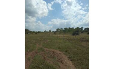 VENTA DE FINCA EN SAN ANTERITO, MONTERIA
