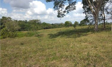 VENTA DE FINCA EN SAN ANTERITO, MONTERIA