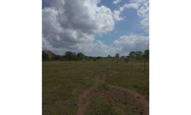 VENTA DE FINCA EN SAN ANTERITO, MONTERIA
