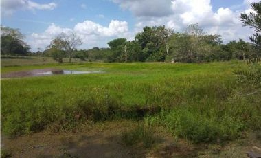 VENTA DE FINCA EN SAN ANTERITO, MONTERIA