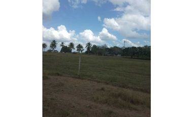 VENTA DE FINCA EN SAN ANTERITO, MONTERIA
