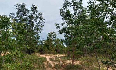 Land for sale in Cha-Am, Phetchaburi