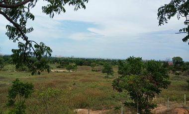 Land for sale in Cha-Am, Phetchaburi