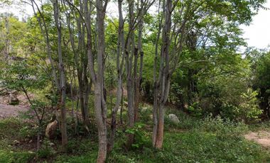 Land for sale in Cha-Am, Phetchaburi