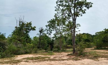 Land for sale in Cha-Am, Phetchaburi