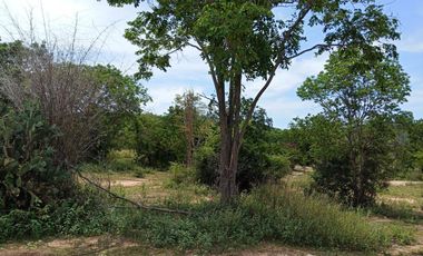 Land for sale in Cha-Am, Phetchaburi
