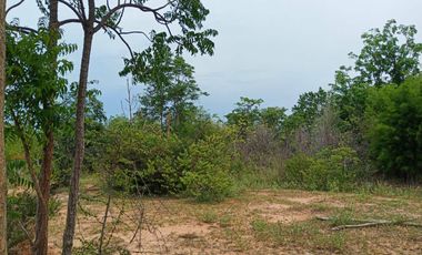 Land for sale in Cha-Am, Phetchaburi