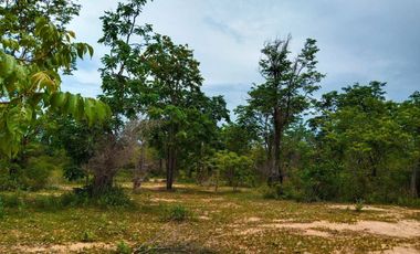 Land for sale in Cha-Am, Phetchaburi