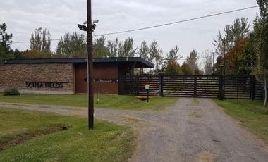 TERRENO EN VENTA IBARLUCEA