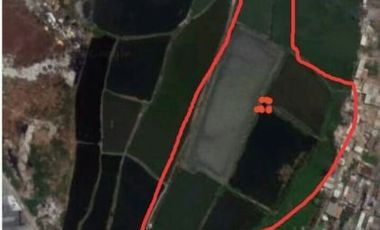 Di jual tanah luas 6 HA (60000 m2)daerah asem rowo, perbatasan tol tandes dan tol dupak