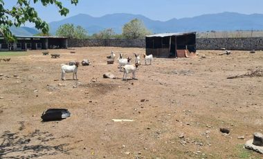 Rancho  en Cuentepec Temixco - ITI-1935-Ra