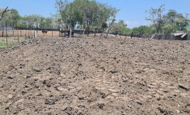 Rancho  en Cuentepec Temixco - ITI-1935-Ra