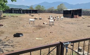 Rancho  en Cuentepec Temixco - ITI-1935-Ra