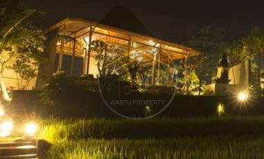 VILLA MEWAH FOR SALE HARGA MURAH DI UBUD