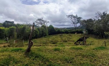 finca en venta en pavas. Cod V15050