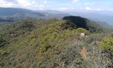 Terreno Productivo en Parque del Huixteco, Taxco de Alarcon
