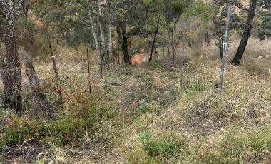 PREDIO A B0RDE CARRETERA AL TIGRE VALLE DE JUAREZ JAL