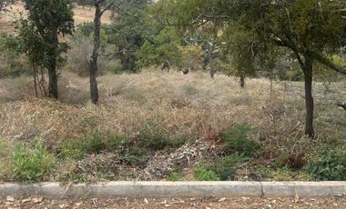 PREDIO A B0RDE CARRETERA AL TIGRE VALLE DE JUAREZ JAL