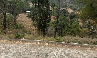 PREDIO A B0RDE CARRETERA AL TIGRE VALLE DE JUAREZ JAL