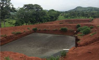 VENTA FINCA CHORRERA