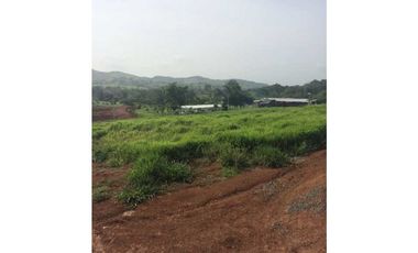 VENTA FINCA CHORRERA