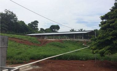 VENTA FINCA CHORRERA