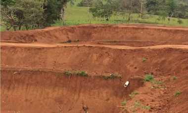 VENTA FINCA CHORRERA