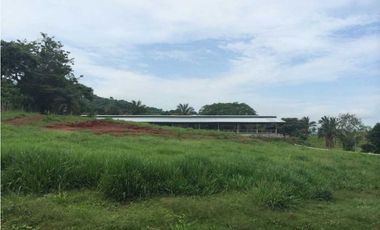 VENTA FINCA CHORRERA