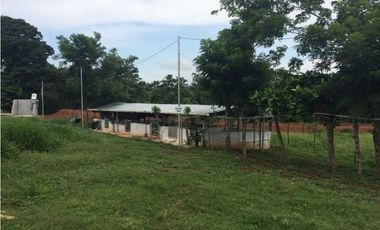 VENTA FINCA CHORRERA