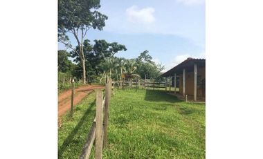 VENTA FINCA CHORRERA