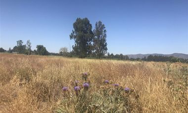 Sitio en venta en Melipilla